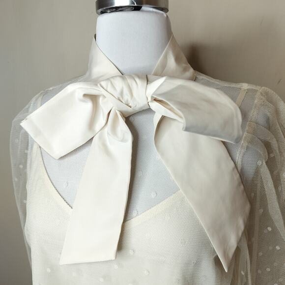 Express Tie Neck Blouse Polka Dot Sheer Mesh Ivory Off White - Picture 6 of 11